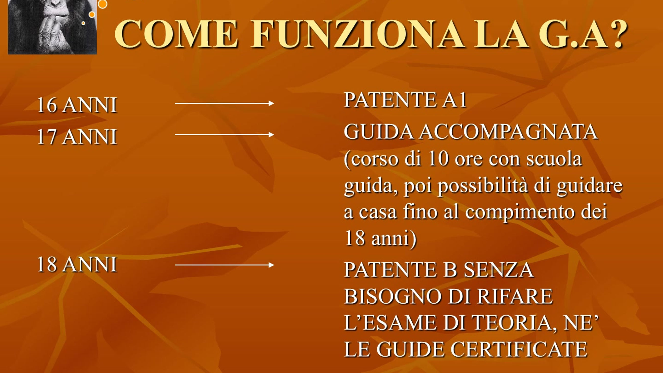 Tutti i video